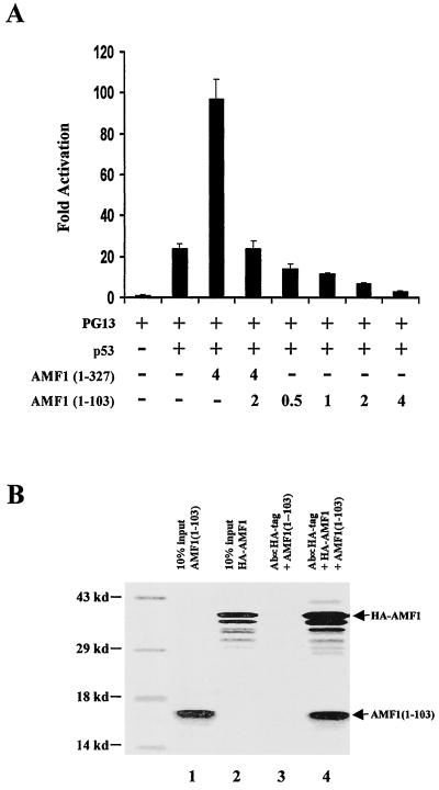 FIG. 8