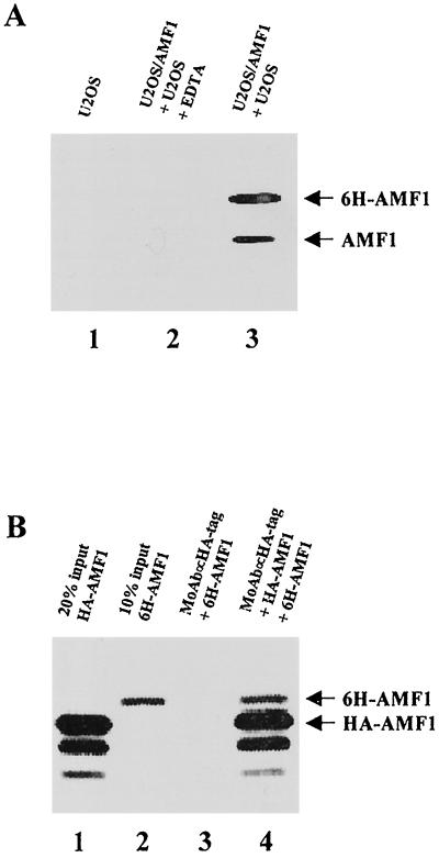 FIG. 6