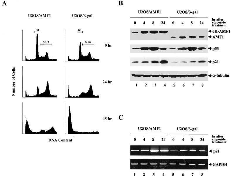 FIG. 9