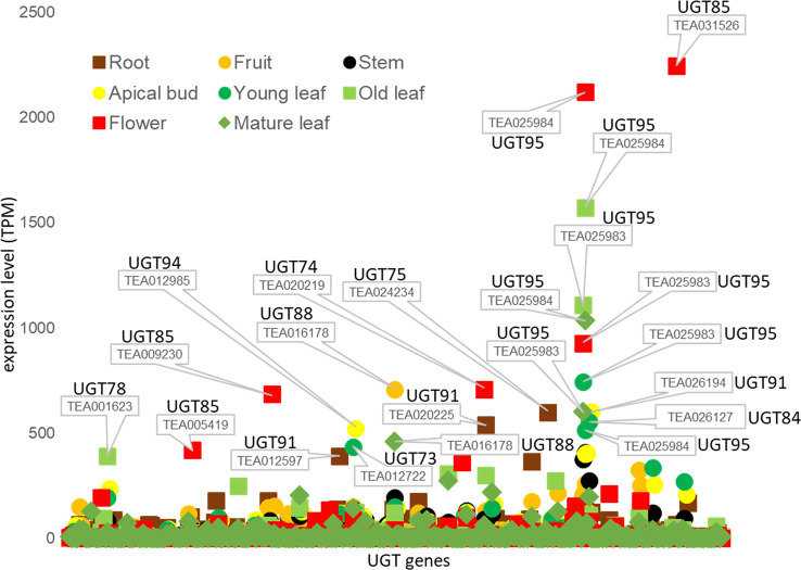 Figure 4