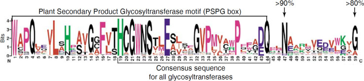 Figure 2