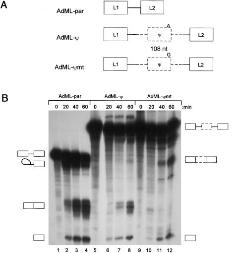 Figure  3