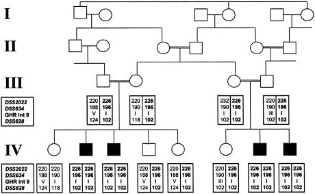 Figure  1