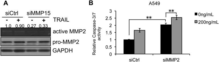 Fig. S7.