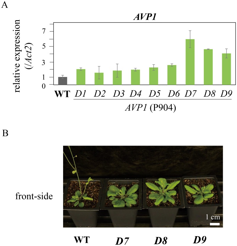 Fig 4