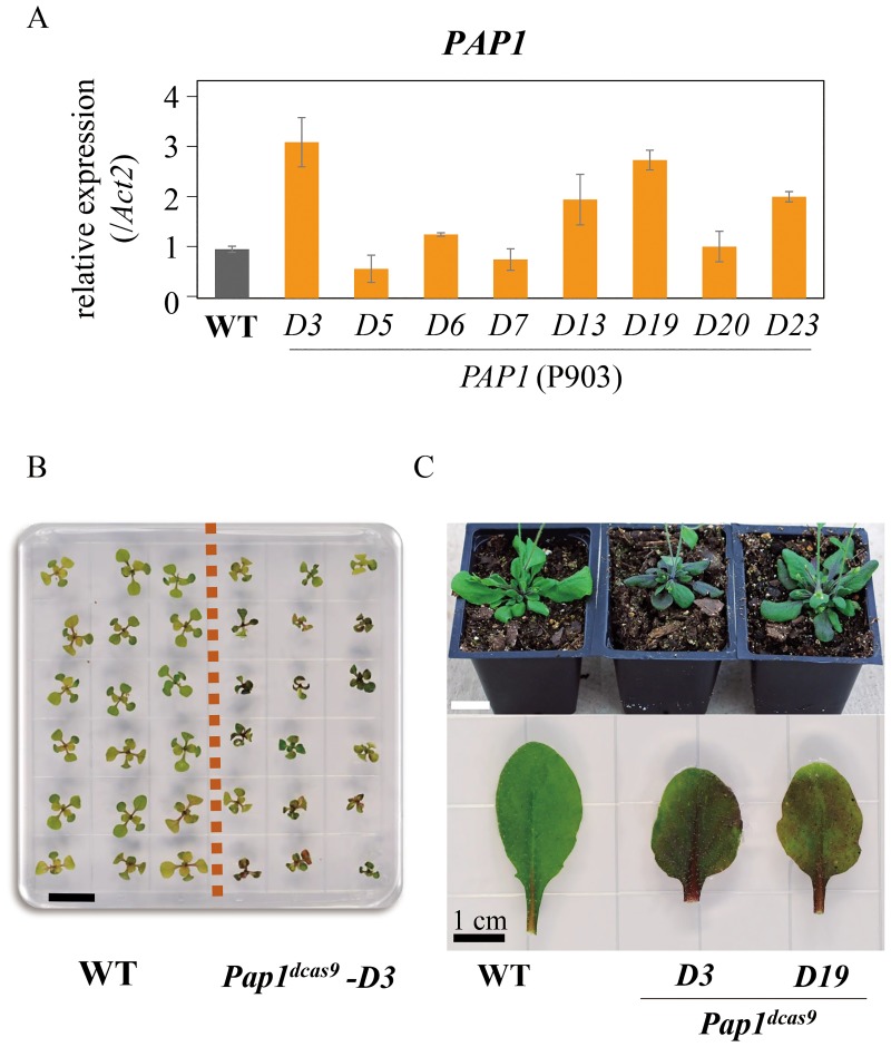 Fig 3