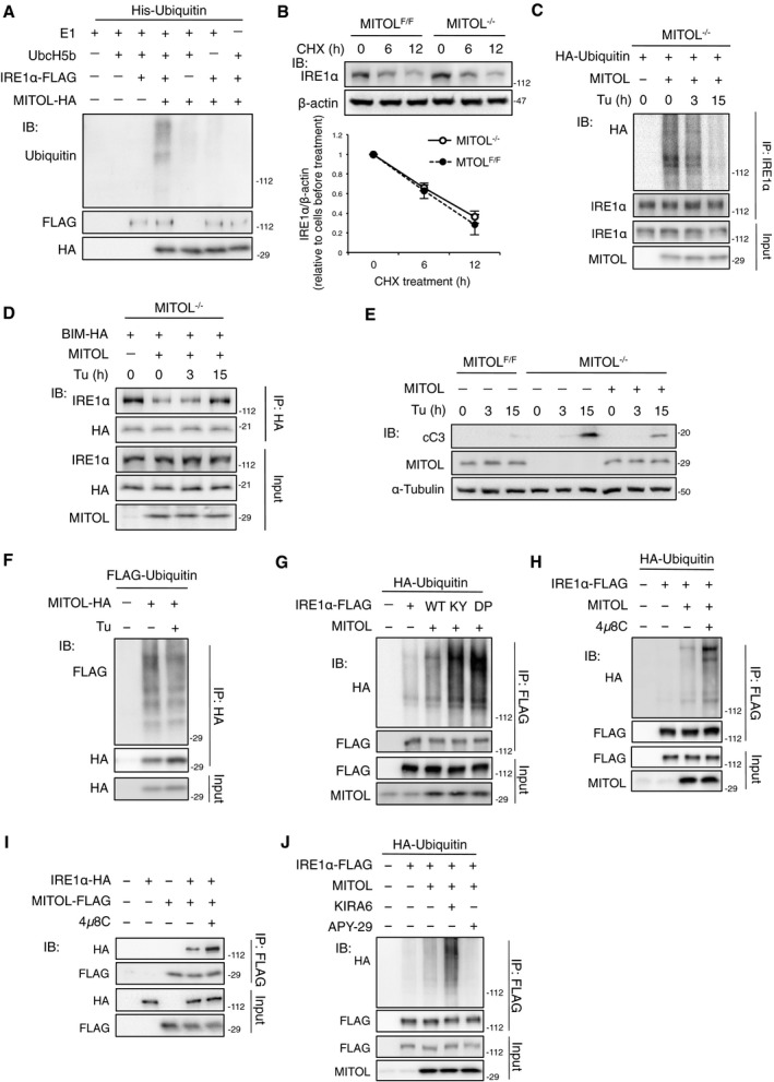 Figure EV3