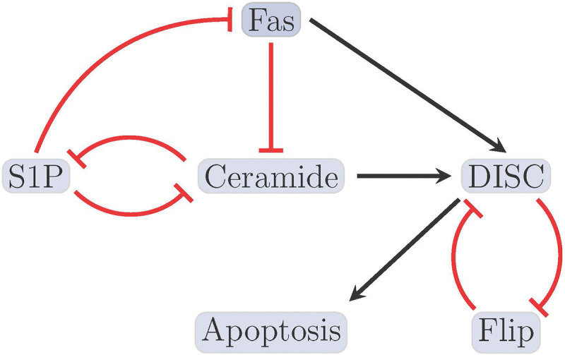 Figure 1: