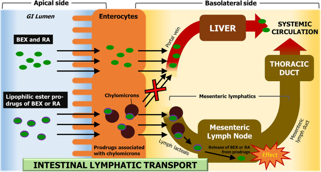 Unlabelled Image