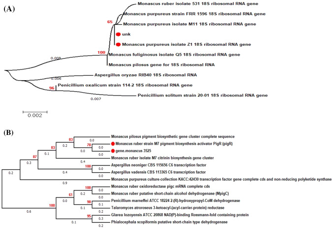 Fig. 2