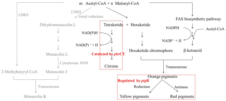 Fig. 1