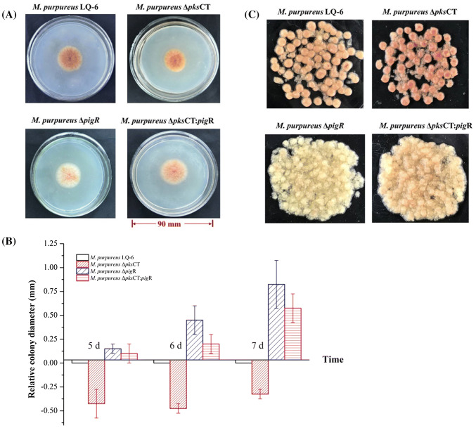 Fig. 3