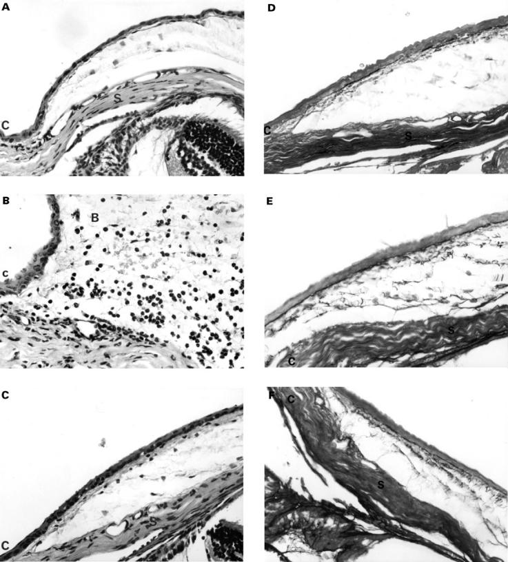 Figure 2  