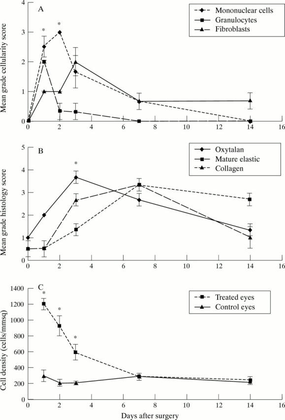 Figure 3  