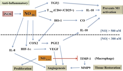 Figure 7.