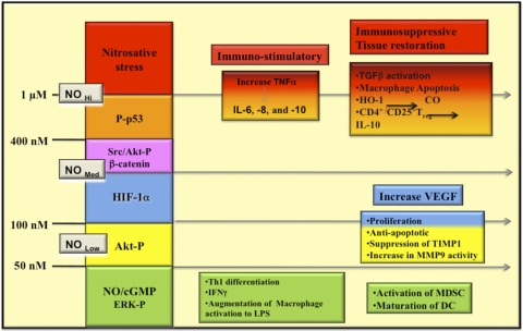 Figure 9.