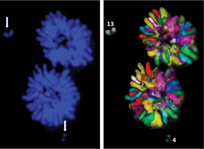 Fig. 6.