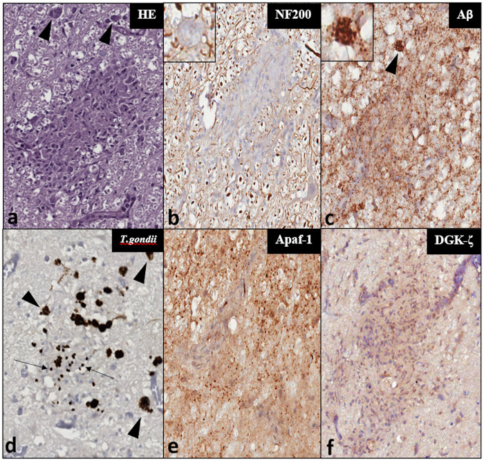 Fig 3