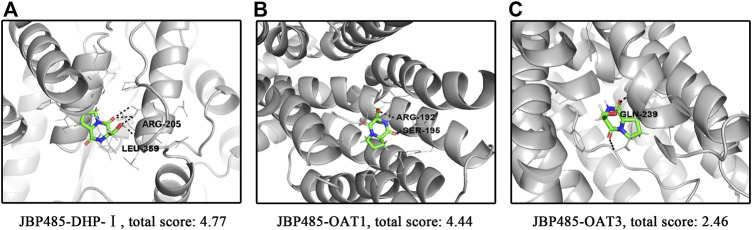 FIGURE 6