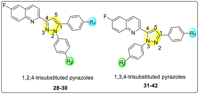 Fig. 8