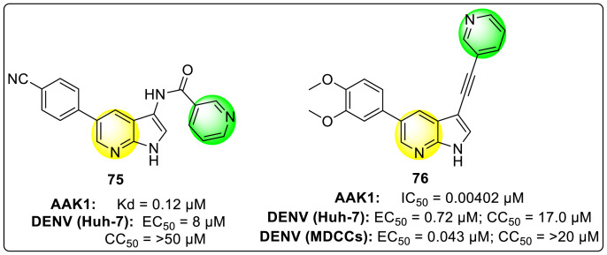 Fig. 14