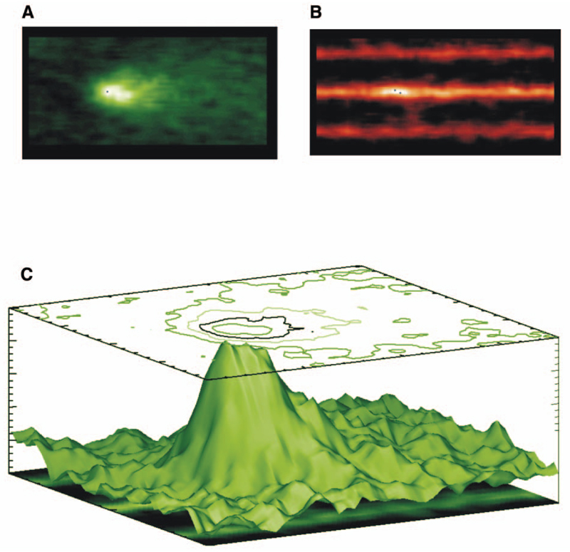 Figure 3.