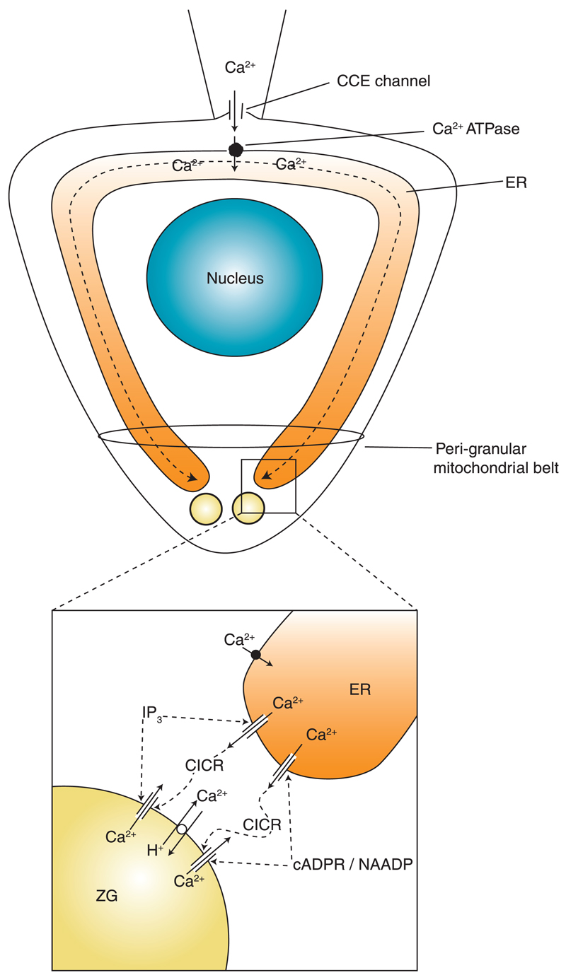 Figure 9.