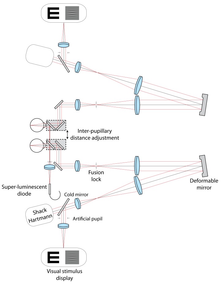 Fig. 1