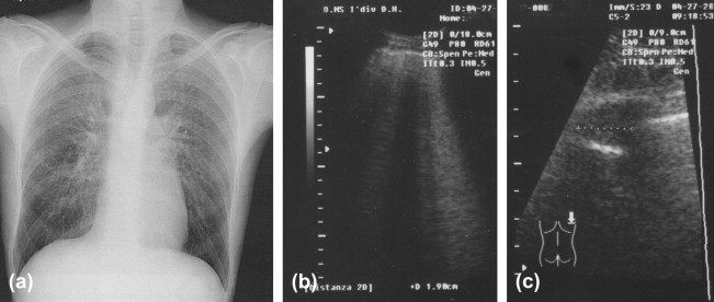 Fig. 6