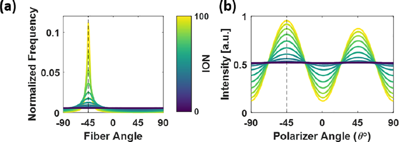 Figure 3 -