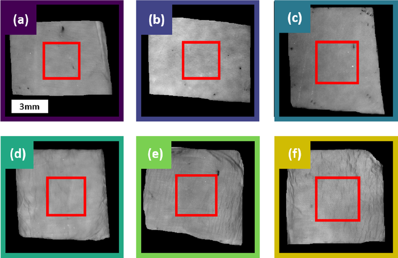 Figure 5 -