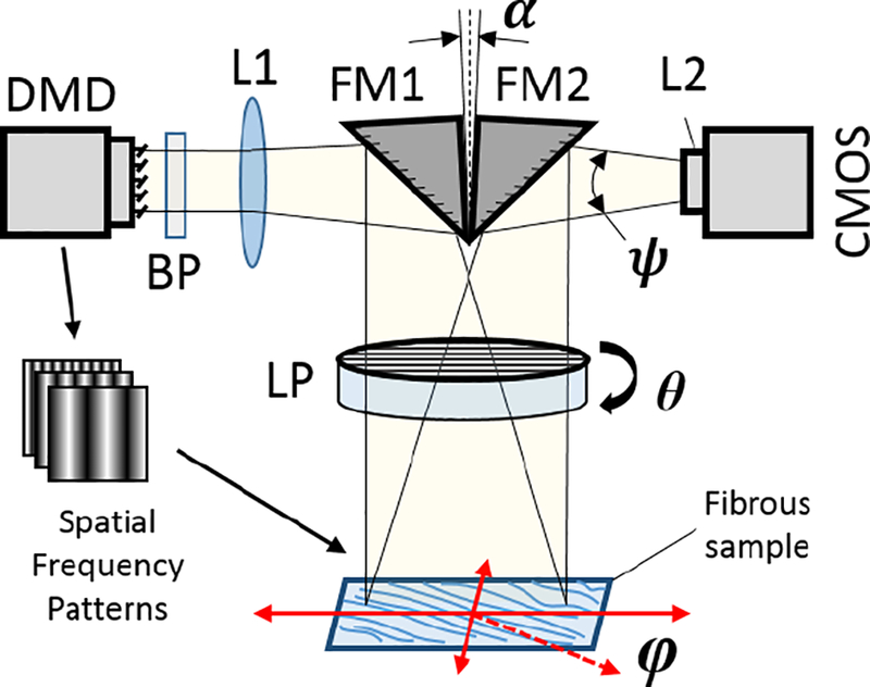 Figure 1 -