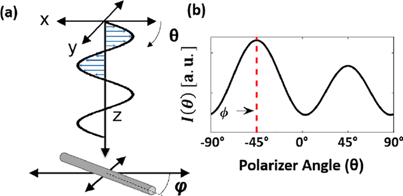 Figure 2 -