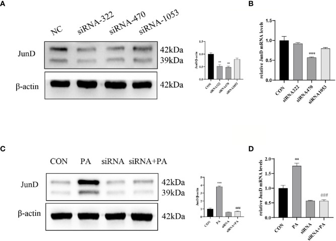 Figure 4