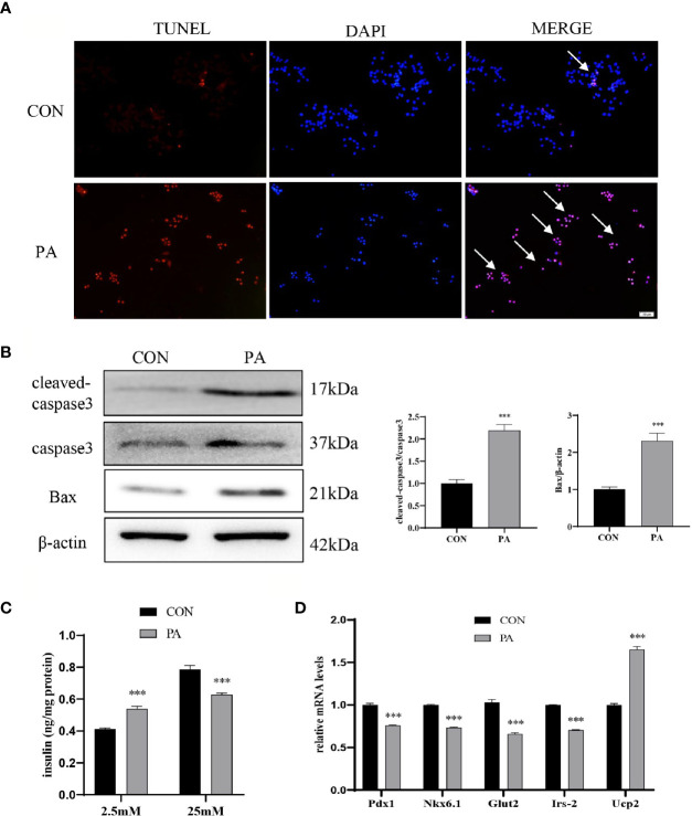 Figure 2