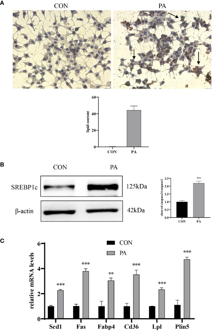 Figure 3