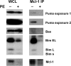 FIG. 7.