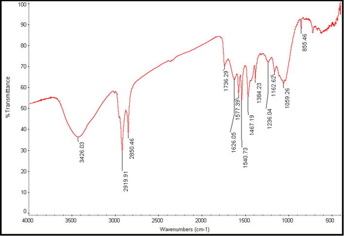 Fig. 6