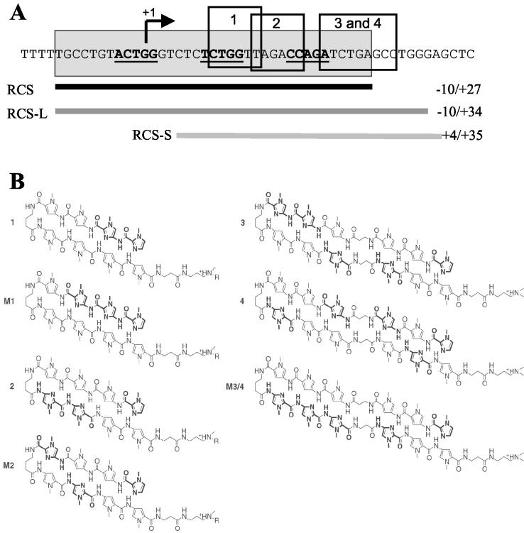 FIG. 1.