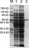 FIG. 1.