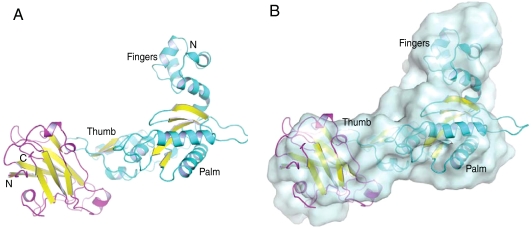 Fig. 1.