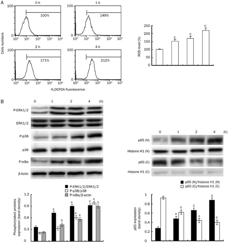 Figure 4