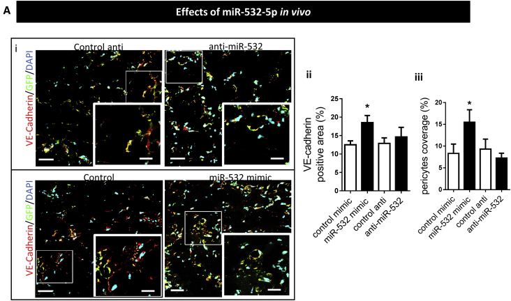 Figure 7