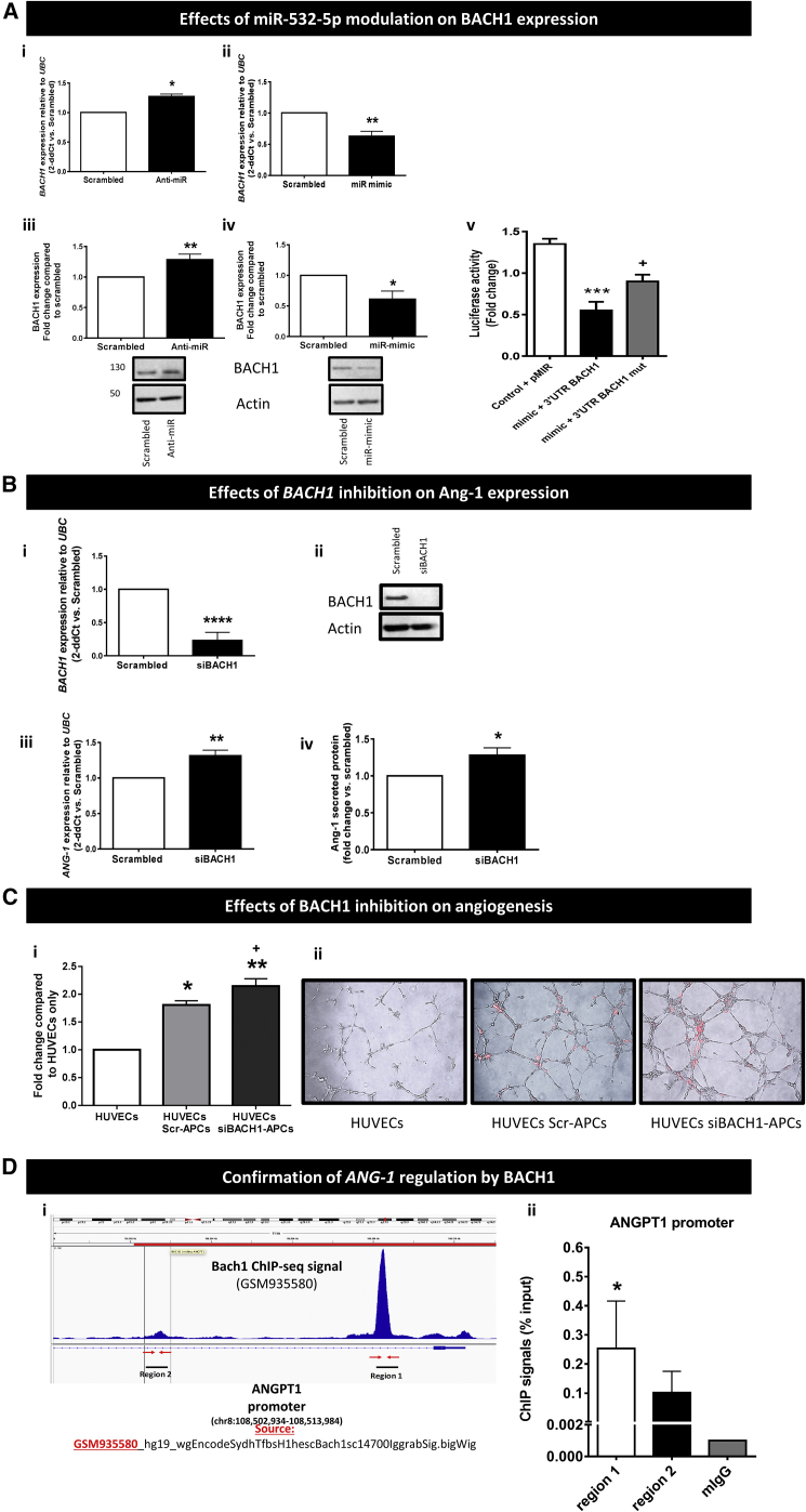 Figure 6