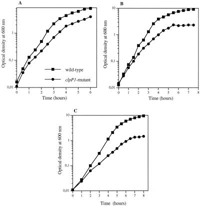 FIG. 5.