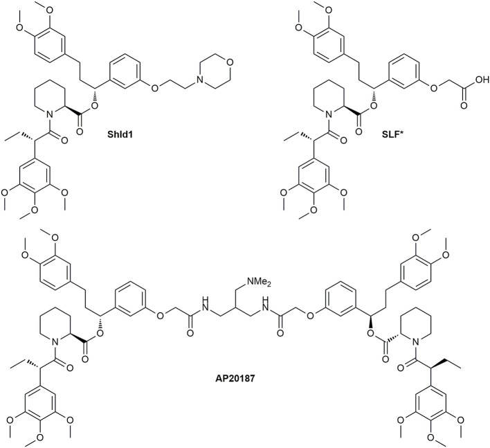 Figure 12