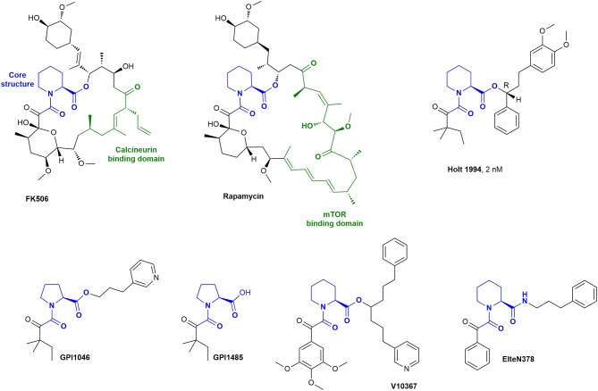 Figure 2