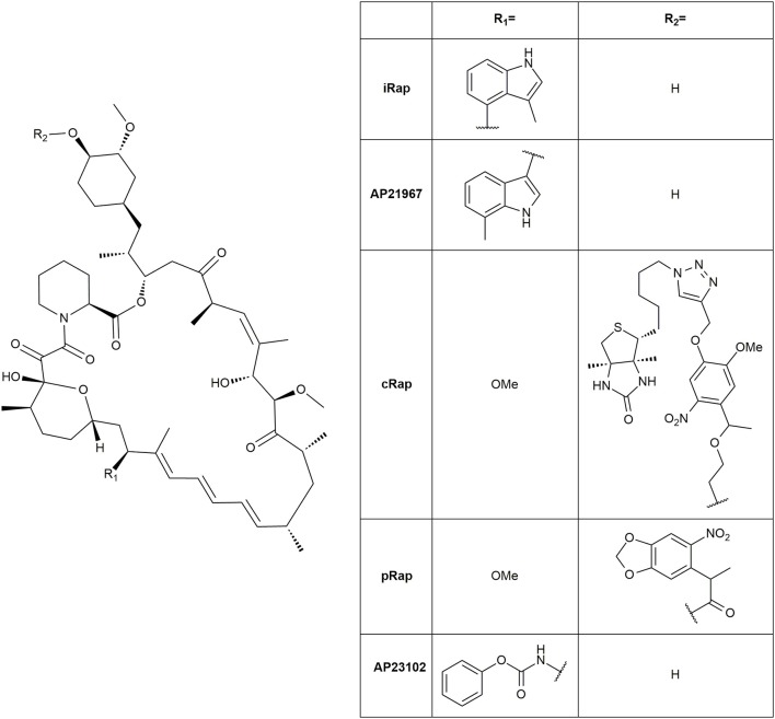 Figure 10