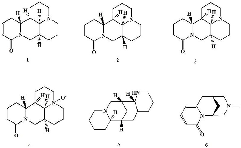 FIGURE 1