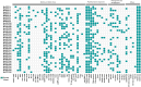 Fig 10